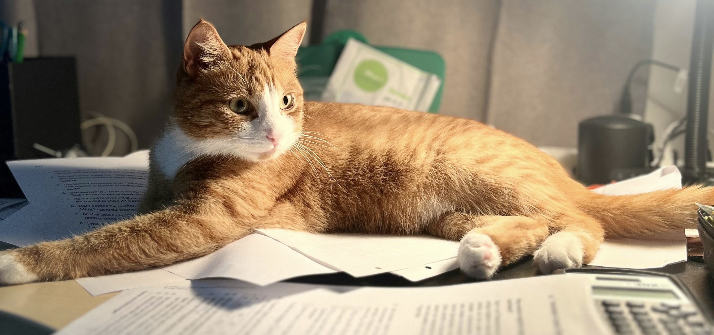 Stress Free Procedures